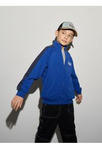 Reserved - Bluza na zamek - niebieski. Kolor: niebieski. Materiał: dzianina, bawełna