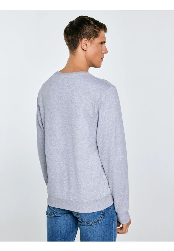 Big-Star - Bluza męska z nadrukiem szara Ecodort 901. Kolor: szary. Wzór: nadruk. Styl: klasyczny