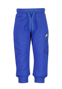 Blue Seven Spodnie dresowe 990064 X Niebieski Regular Fit. Kolor: niebieski. Materiał: bawełna