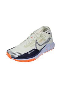 Buty Sportowe Męskie Nike Pegasus Trail 4 Gtx V2. Kolor: beżowy. Technologia: Gore-Tex. Sport: bieganie