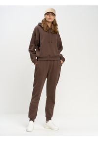 Big-Star - Bluza damska z kapturem brązowa Meganer 804/ Foxaner 804/ Jeaner 804. Typ kołnierza: kaptur. Kolor: brązowy. Materiał: dzianina, skóra. Wzór: nadruk, aplikacja #7