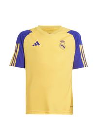 Adidas - Koszulka Real Madrid Tiro 23 Training Kids. Kolor: żółty. Materiał: materiał