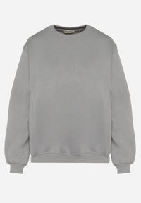 Born2be - Szara Bluza z Bawełną Ozdobiona Przeszyciami Fezoria. Okazja: na co dzień. Kolor: szary. Materiał: bawełna. Wzór: aplikacja. Styl: casual, klasyczny #6