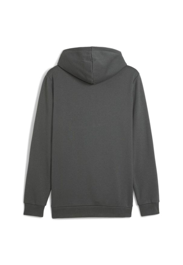 Puma - Bluza męska PUMA Essentials Big Logo Hoodie FL. Kolor: szary