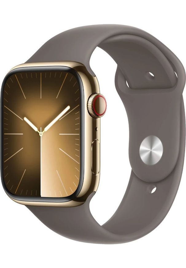 APPLE - Smartwatch Apple Watch 9 GPS + Cellular 45mm Gold Stainless Steel Sport S/M Szary (MRMR3QP/A). Rodzaj zegarka: smartwatch. Kolor: szary. Styl: sportowy