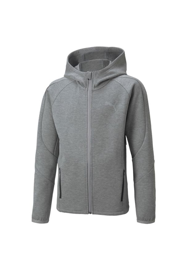 Bluza z kapturem Puma Evostripe Full-zip Hoodie Dk B, Dzieci. Typ kołnierza: kaptur. Kolor: szary. Materiał: bawełna, materiał