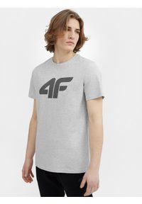 4f - T-shirt regular z nadrukiem męski. Kolor: szary. Materiał: dzianina, wiskoza. Wzór: nadruk