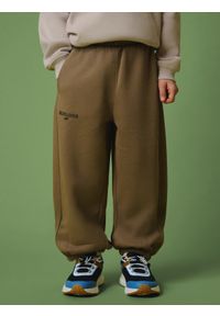 4f - 4F Spodnie dresowe joggery chłopięce - brązowe 122/128 (6-8 lat). Okazja: na co dzień. Kolor: brązowy. Materiał: dresówka. Sezon: lato. Styl: casual, sportowy #2