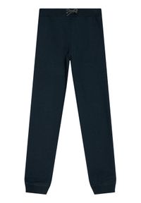 Name it - NAME IT Spodnie dresowe Bru Noos 13153665 Granatowy Regular Fit. Kolor: niebieski. Materiał: bawełna #1