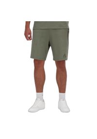 Szorty Le Coq Sportif Offre PE N°1. Kolor: zielony. Długość: krótkie. Sezon: lato #1