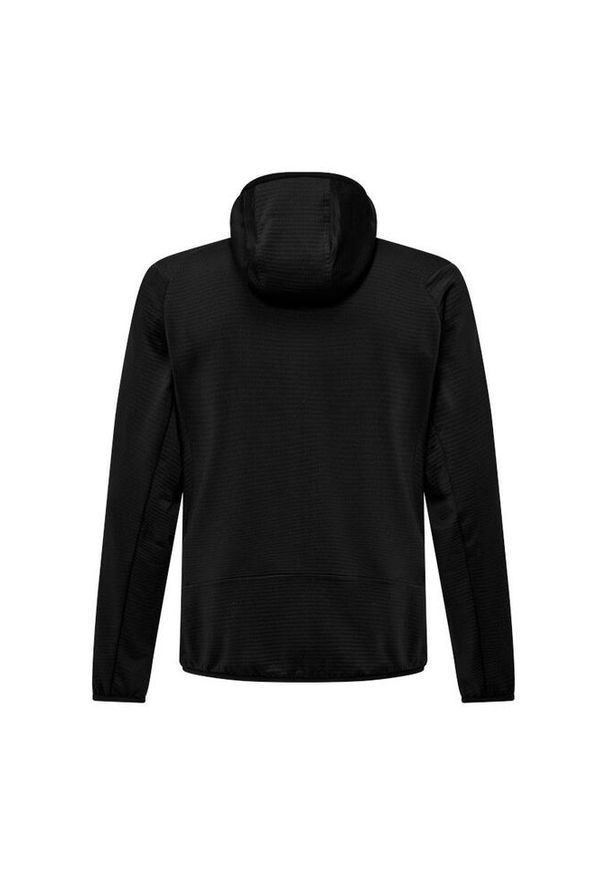 Salewa - Bluza trekkingowa męska Puez Altavia PL HD. Typ kołnierza: kaptur. Kolor: czarny. Materiał: materiał
