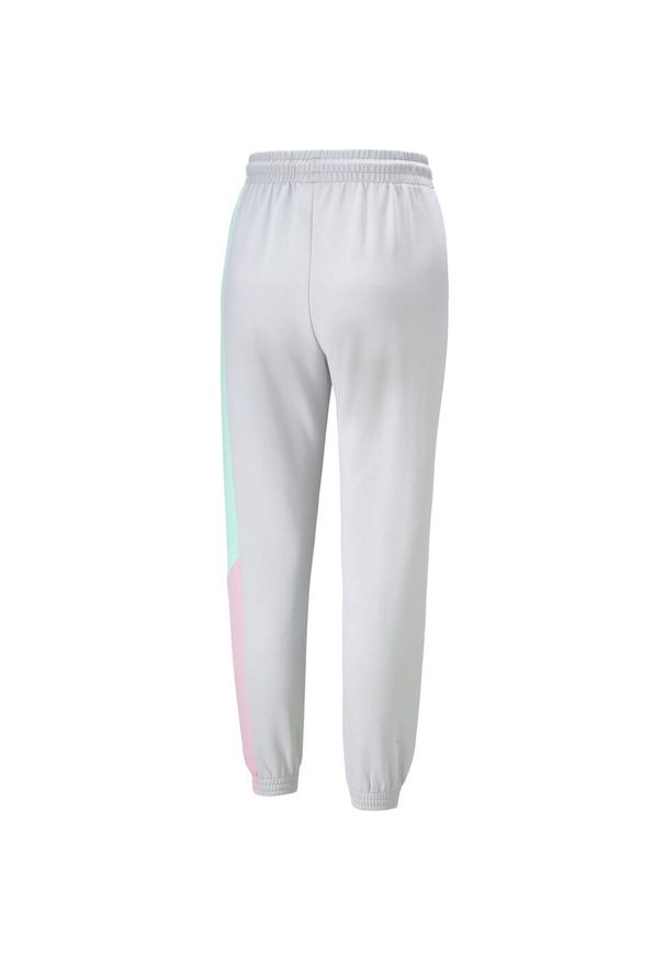 Puma Spodnie Intl 53165909. Kolor: szary