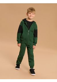 Sinsay - Spodnie dresowe jogger ze ściągaczmi - zielony. Kolor: zielony. Materiał: dresówka