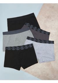 Sinsay - Bokserki Classic 5 pack - szary. Kolor: szary. Materiał: bawełna, elastan