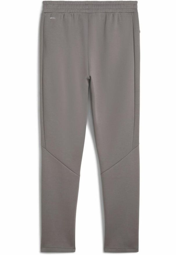 Puma - Męskie spodnie EVOSTRIPE PUMA Cast Iron Gray. Kolor: szary