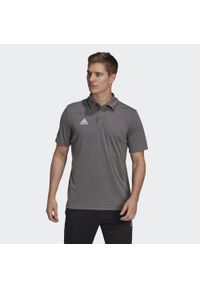 Koszulka polo do piłki nożnej męska Adidas Entrada 22 Polo z krótkim rękawem. Typ kołnierza: polo. Kolor: szary. Długość rękawa: krótki rękaw. Długość: krótkie. Sport: piłka nożna #1