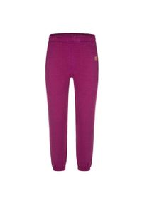 ZOOPLEMENTS - Duries Spodnie Termiczne dla Dzieci 128: Wygodne i Oddychające. Kolor: fioletowy. Materiał: bawełna, dresówka. Styl: elegancki #1