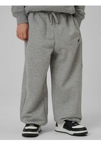 4f - 4F Spodnie dresowe z szerokimi nogawkami chłopięce - szare 158/164 (12-14 lat). Okazja: na co dzień, na spacer, na uczelnię. Kolor: szary. Materiał: dresówka. Sezon: lato. Styl: klasyczny, casual #2