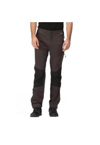 Regatta - Męskie spodnie trekkingowe ze streczem Questra V. Kolor: szary. Sezon: lato. Sport: turystyka piesza #1