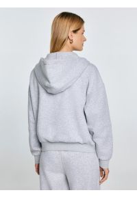 Big-Star - Bluza damska z kapturem rozpinana szara Madelina 901. Typ kołnierza: kaptur. Kolor: szary. Materiał: dresówka, dzianina. Wzór: haft, aplikacja. Styl: sportowy, elegancki