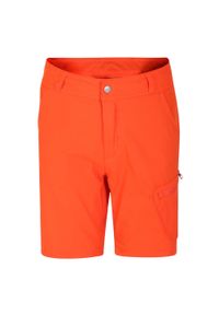DARE 2B - Shorty Dziecięce Reprise II. Kolor: czerwony, pomarańczowy, żółty, wielokolorowy. Styl: sportowy. Sport: turystyka piesza