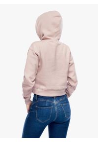 Bluza z kapturem damska Black Diamond Crop Pullover Hoody. Typ kołnierza: kaptur. Kolor: różowy