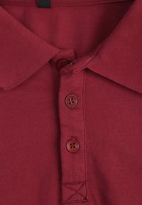 Born2be - Bordowa Gładka Koszulka Polo o Klasycznym Kroju Sinopea. Okazja: na co dzień, do pracy, na spotkanie biznesowe. Typ kołnierza: polo. Kolor: czerwony. Materiał: jeans. Wzór: gładki. Styl: klasyczny #5