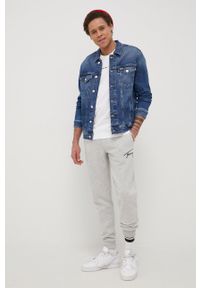 Tommy Jeans Spodnie DM0DM12439.PPYY męskie kolor szary z aplikacją. Kolor: szary. Materiał: włókno, dzianina, materiał. Wzór: aplikacja #4