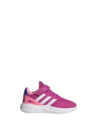 Adidas - Nebzed Elastic Lace Top Strap Shoes. Okazja: na co dzień. Kolor: różowy, wielokolorowy, biały. Materiał: materiał