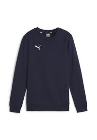 Bluza dziecięca Puma teamGOAL Casuals. Kolor: niebieski. Materiał: polar #1