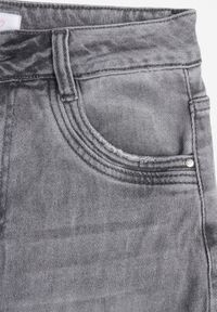 Renee - Szare Jeansy Wide Leg High Waist z Bawełną i Dodatkiem Wiskozy Rhenerila. Stan: podwyższony. Kolor: szary. Długość: długie. Wzór: gładki #8