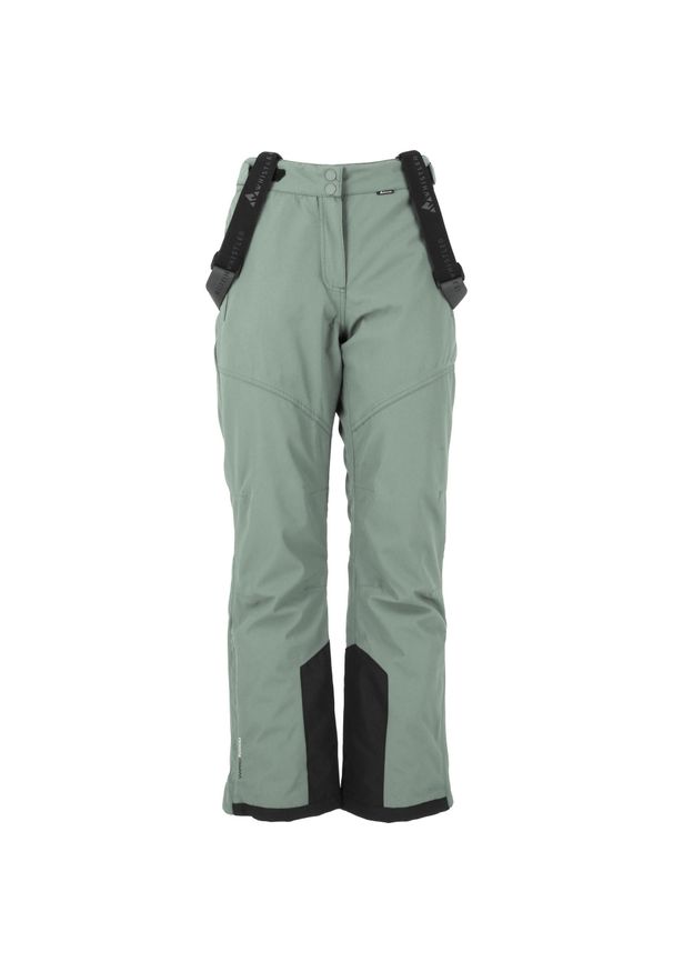 Dziecięce spodnie narciarskie Whistler Drizzle 10000. Kolor: szary, fioletowy, wielokolorowy. Sezon: zima. Sport: narciarstwo