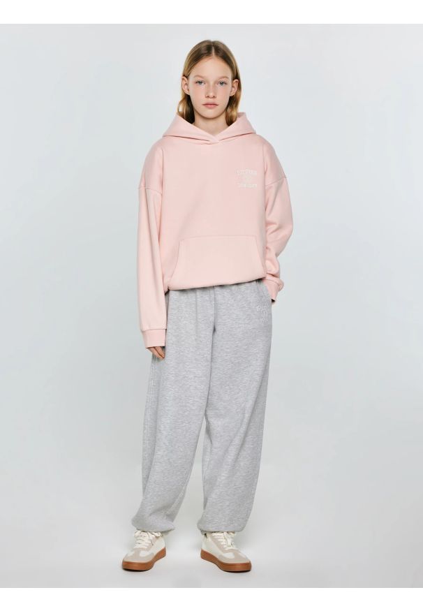 Big-Star - Bluza dziewczęca z kapturem różowa Alana 600. Okazja: na co dzień, na uczelnię. Typ kołnierza: kaptur. Kolor: różowy. Materiał: dzianina. Wzór: aplikacja, haft. Styl: casual