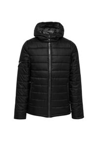 Parka dla dzieci Hummel Hummel North Quilted. Kolor: wielokolorowy, szary, czarny, brązowy. Materiał: tkanina