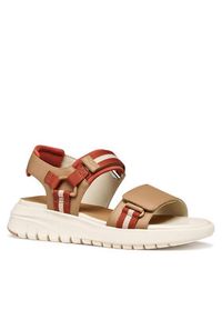 Geox Sandały D Flextride S D65BSC 05415 C5A6B Brązowy. Kolor: brązowy. Materiał: skóra #2