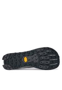 Altra Buty do biegania Lone Peak 9+ AL0A85RG Szary. Kolor: szary. Materiał: materiał #2