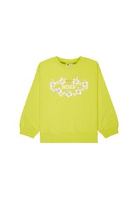 Roxy - Bluza dla Dziewczynki MORNING HIKE TERRY Zielony. Okazja: na co dzień. Kolor: zielony. Materiał: poliester, bawełna, tkanina. Sezon: lato. Styl: casual #1