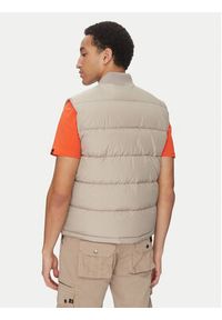Alpha Industries Kamizelka 118109 Beżowy Regular Fit. Kolor: beżowy. Materiał: syntetyk #5