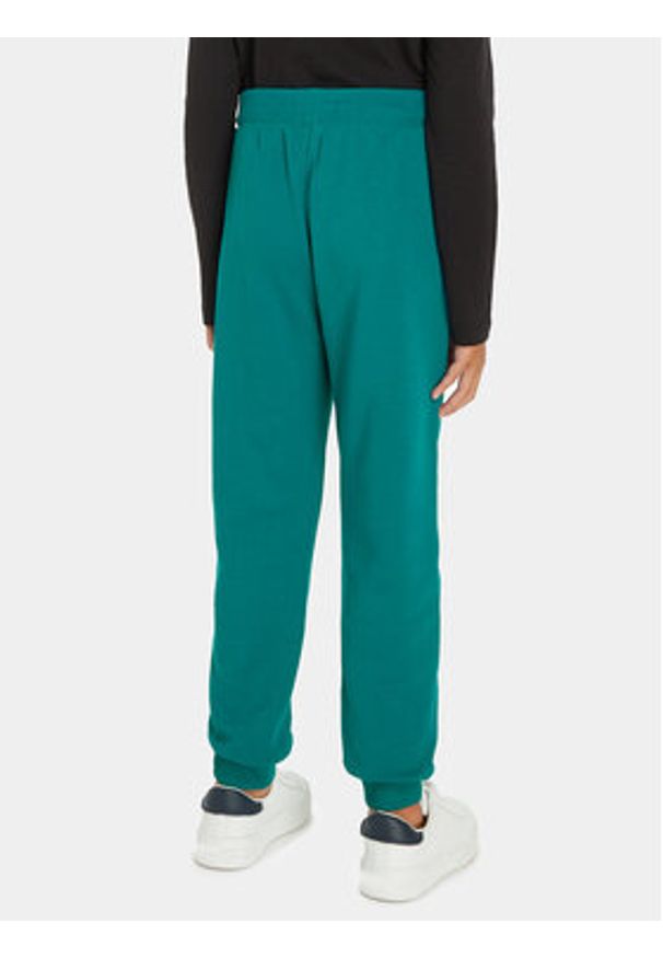Calvin Klein Jeans Spodnie dresowe Monogram Logo IU0IU00285 Zielony Regular Fit. Kolor: zielony. Materiał: bawełna