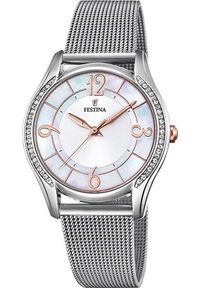 Zegarek Festina Zegarek damski Festina F20420-1 srebrny. Kolor: srebrny #1
