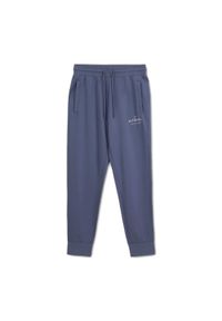 PITBULL - Spodnie męskie Pitbull Sampson Track Pants. Kolor: niebieski