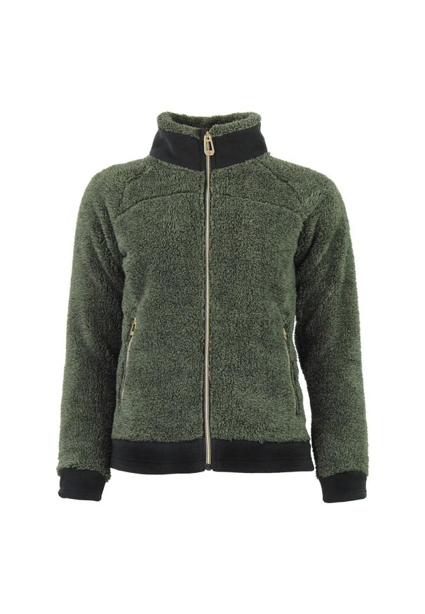 PEAK MOUNTAIN - Polar damski zapinany na zamek Peak Mountain Coral Sherpa 300G. Kolor: zielony. Materiał: polar