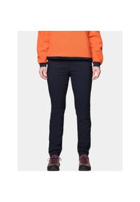 MOUNTAIN HARDWEAR - Spodnie Damskie Mountain Hardwear Dynama Lined. Kolor: czarny. Sezon: lato. Sport: turystyka piesza