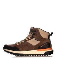 ALPINE PRO - Buty do chodzenia męskie Alpine Pro Malen. Zapięcie: sznurówki. Kolor: brązowy. Materiał: guma, skóra, tkanina. Szerokość cholewki: normalna. Sport: turystyka piesza