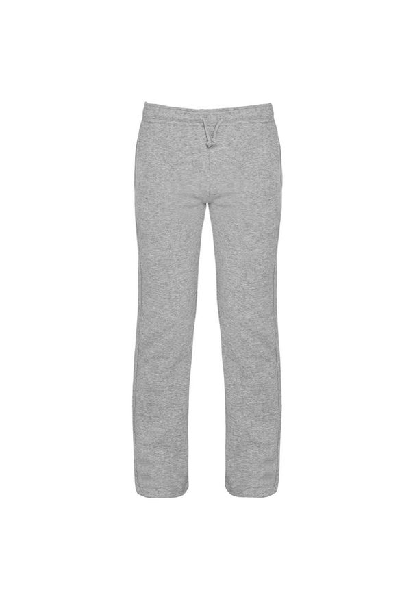 ROLY - Spodnie Unisex Dla Dorosłych New Astun. Kolor: szary. Sport: turystyka piesza