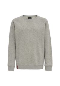 Bluza dziecięca Hummel Red Classic. Kolor: szary. Sport: joga i pilates