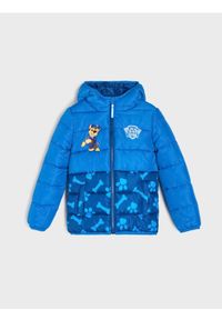 Sinsay - Pikowana kurtka z kapturem PAW Patrol - mid blue. Typ kołnierza: kaptur