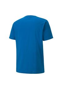 T-Shirt Puma Teamgoal 23 Casuals Tee 02 Dorosłych. Kolor: niebieski. Materiał: bawełna