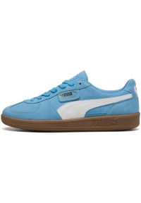 Adidasy Puma Palermo, Mężczyźni. Kolor: biały, wielokolorowy, niebieski. Materiał: zamsz, materiał