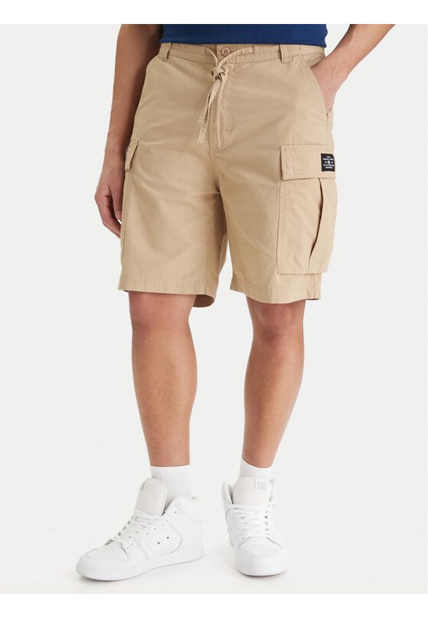 DC Shoes Szorty materiałowe Tundra ADYWS03086 Beżowy Regular Fit. Kolor: beżowy. Materiał: bawełna